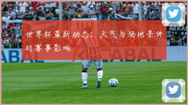 世界杯最新动态：天气与场地条件对赛事影响