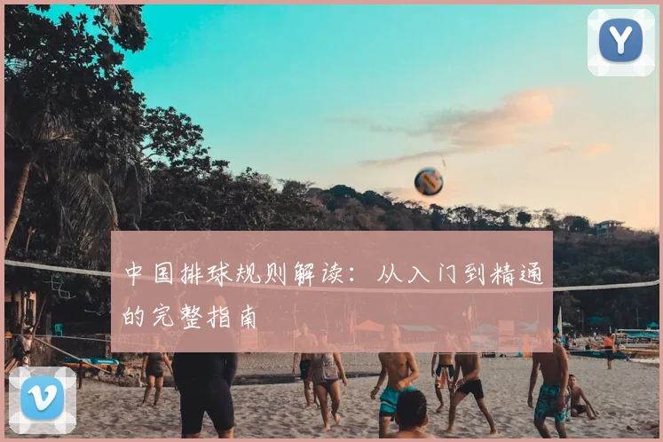 中国排球规则解读：从入门到精通的完整指南