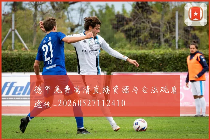 德甲免费高清直播资源与合法观看途径_20260527112410