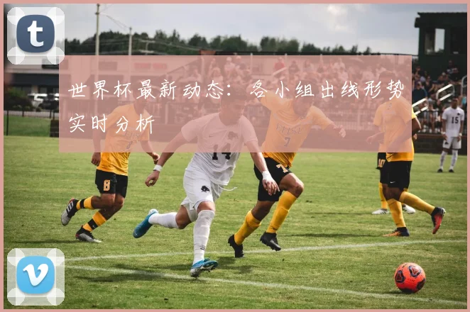 世界杯最新动态：各小组出线形势实时分析